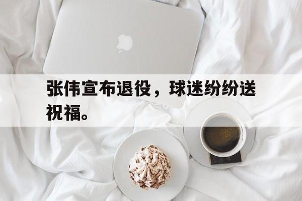 华体会中国-张伟宣布退役，球迷纷纷送祝福。